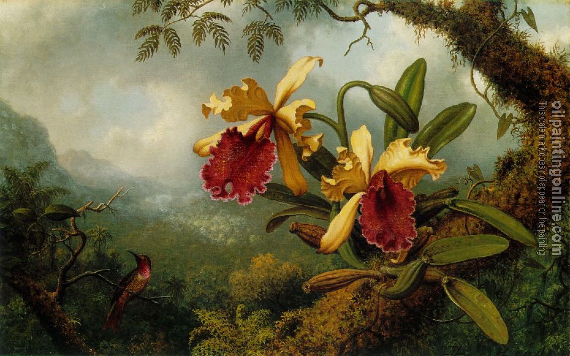 Heade, Martin Johnson - Orchids and Hummingbird